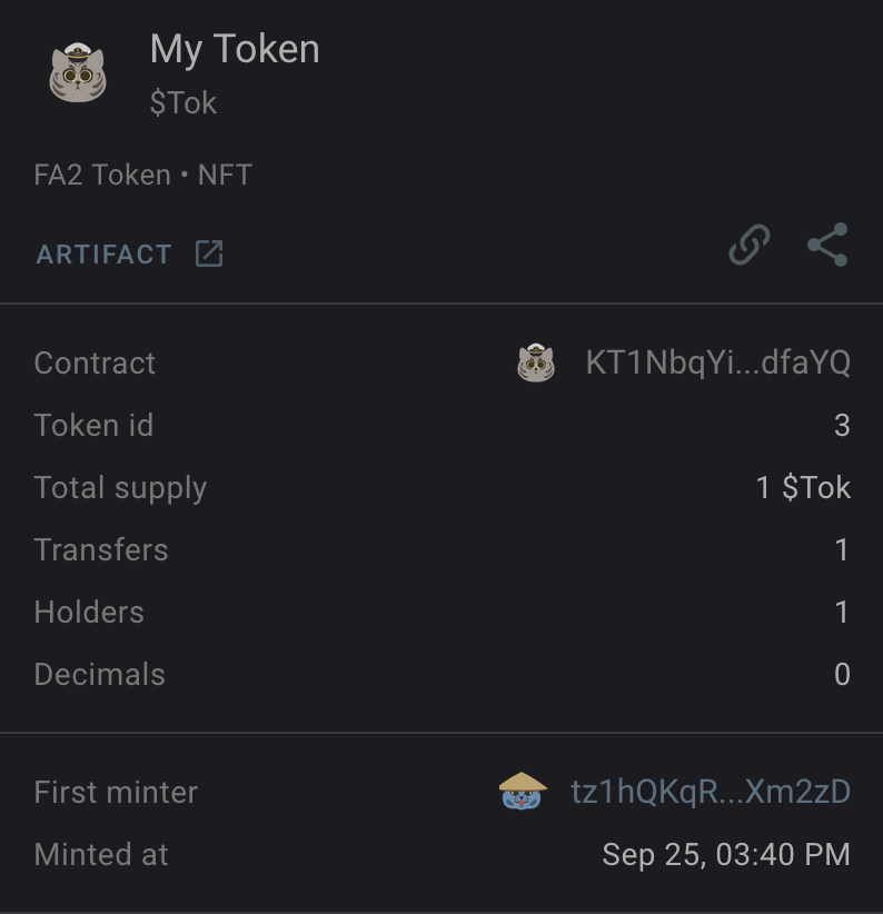 Information in the block explorer about the token